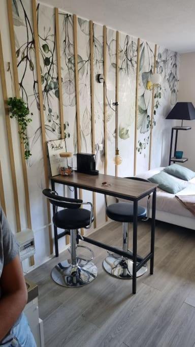 Hsh France Location Disney Land Paris - Suite Nicolas - Appartement De Charme 布西圣乔治 外观 照片