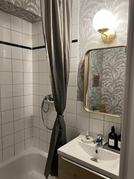 Hsh France Location Disney Land Paris - Suite Nicolas - Appartement De Charme 布西圣乔治 外观 照片